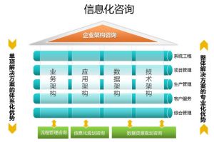 IT总体规划解决方案